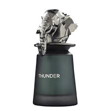 Thunder Eau de Parfum by French Avenue – 100ml EDP