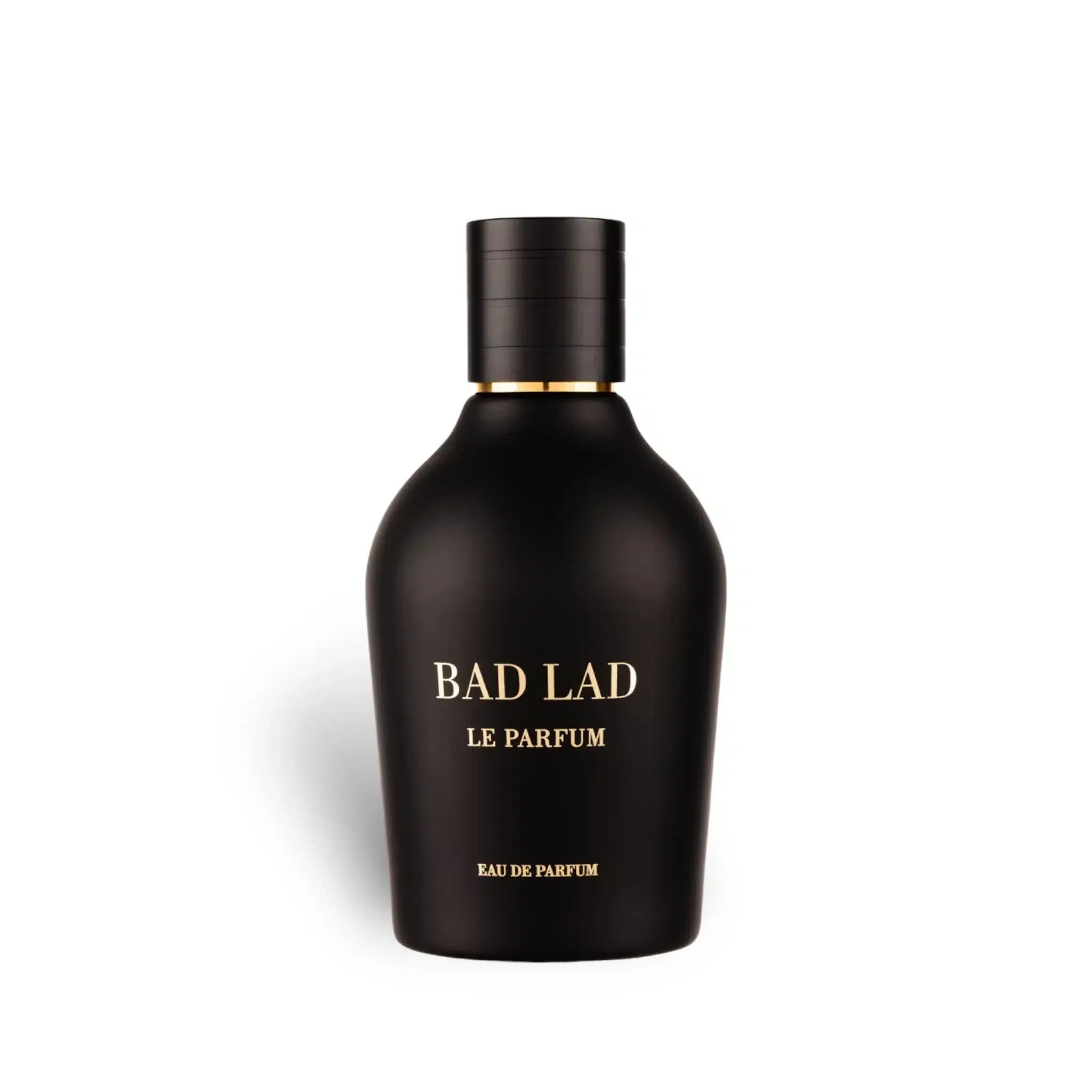 Bad Lad Le Parfum Eau de Parfum by Fragrance World – 100ml EDP