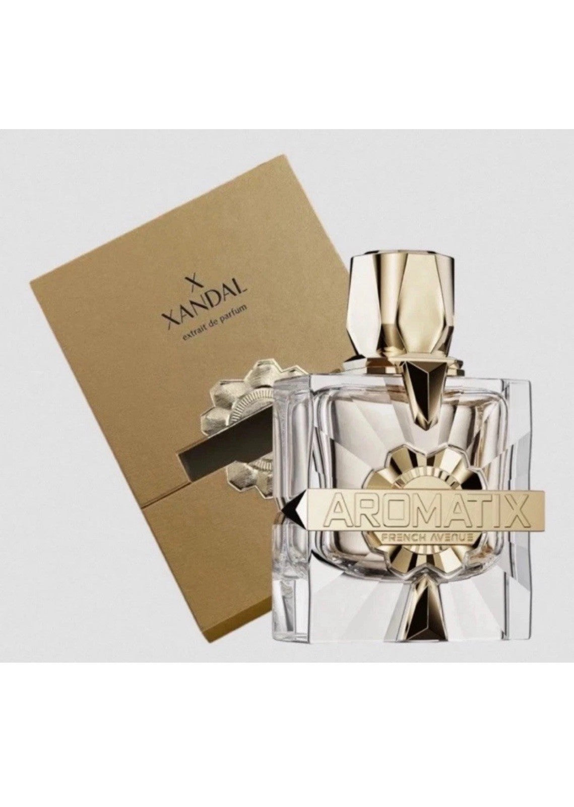 Aromatix Xandal Extrait de Parfum by French Avenue – 100ml