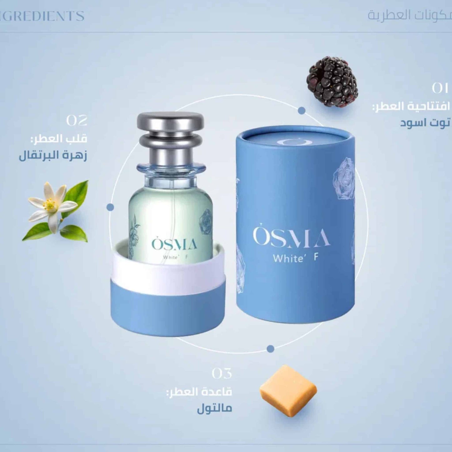 Osma White F Eau de Parfum by Osma – 75ml