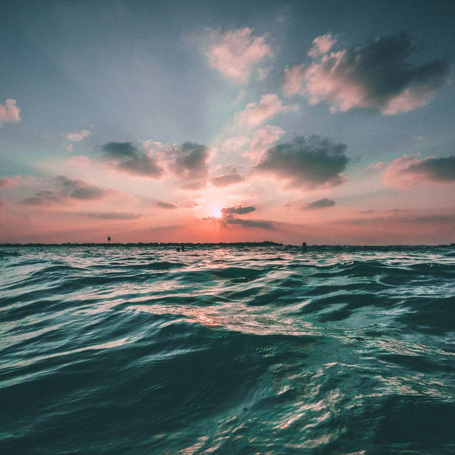 Aquatic